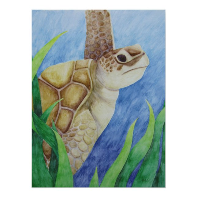 Sea Turtle Poster (Vorderseite)