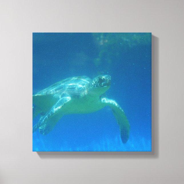 Sea Turtle Swim Canvas Print Leinwanddruck (Vorderseite)