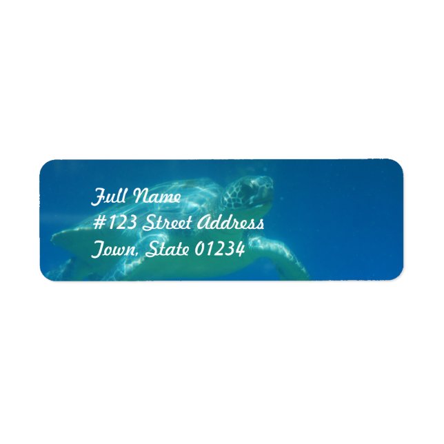 Sea Turtle Swim Mailing Labels (Vorne)