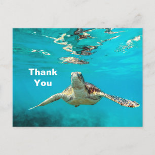 Sea Turtle Vielen Dank Postkarte