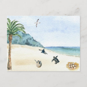 Sea Turtles Baby Hatcolor Postkarte
