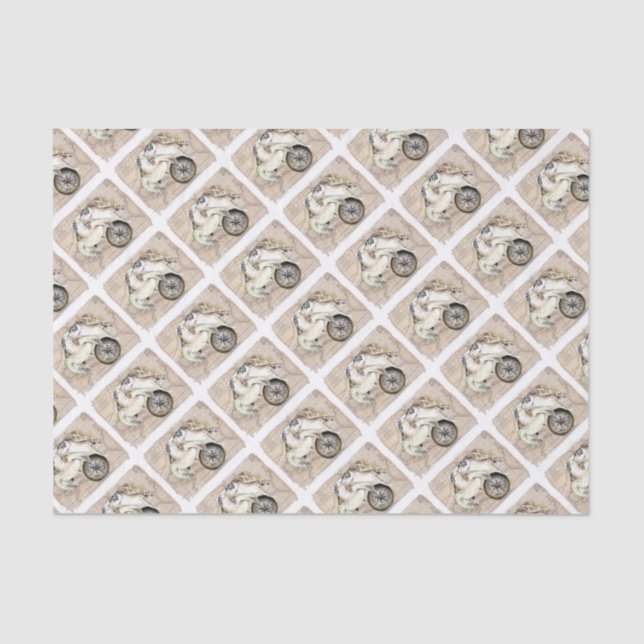 Sea Turtles Compass Map Seidenpapier (Vorderseite)