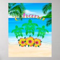 Sea Turtles Hawaiian Honu