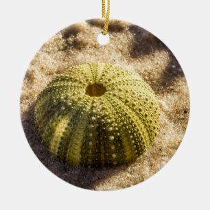 Sea Urchin am Strand Keramik Ornament