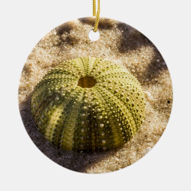 Sea Urchin am Strand Keramik Ornament (Vorne)