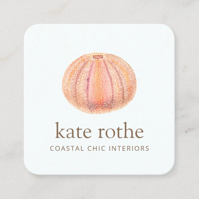 Sea Urchin Beachy Coasty Theme Business Card Quadratische Visitenkarte (Vorderseite)