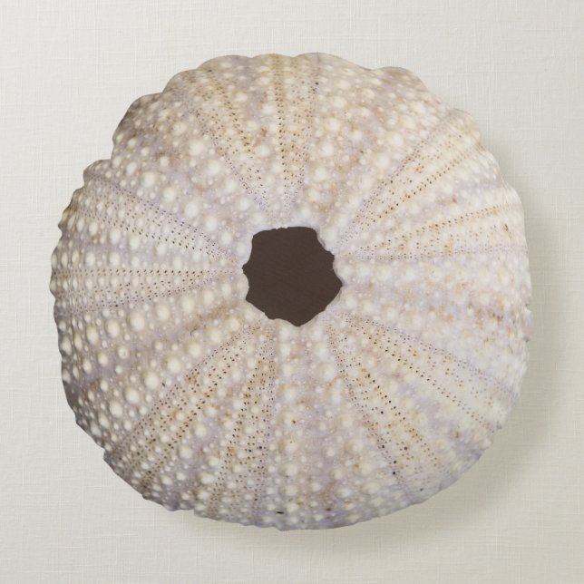 Sea Urchin Cotton Throw Kissen (Vorderseite)