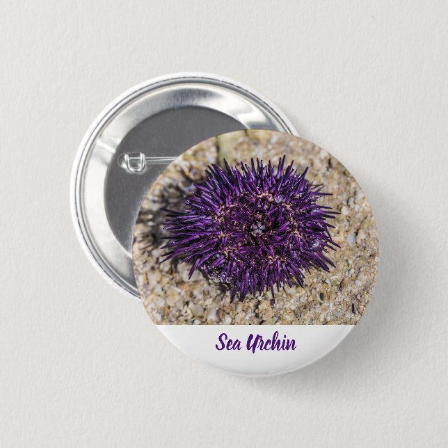Sea Urchin Ocean Beach Holiday Sommer Souvenir Button (Vorne & Hinten)