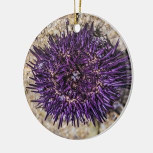 Sea Urchin Ocean Beach Holiday Sommer Souvenir Keramik Ornament