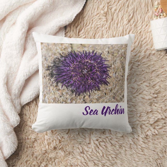 Sea Urchin Ocean Beach Holiday Sommer Souvenir Kissen (Decke)