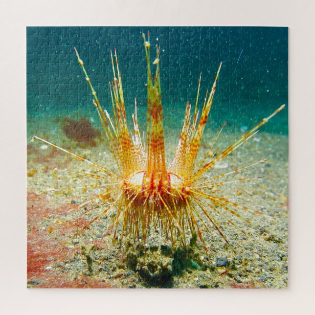 Sea Urchins Puzzle (Vertikal)