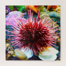 Sea Urchins Puzzle