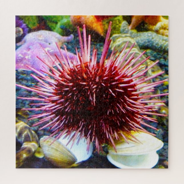 Sea Urchins Puzzle (Vertikal)