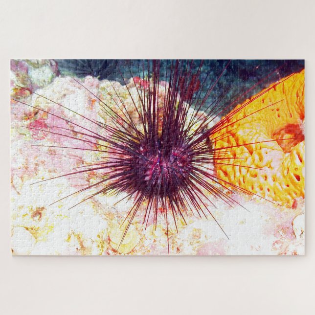 Sea Urchins Puzzle (Horizontal)