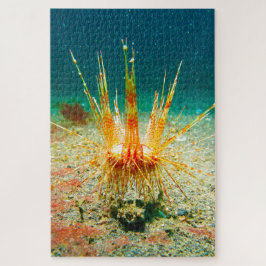Sea Urchins Puzzle