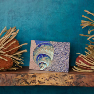 Sea Welk Seashell Fotoplatte