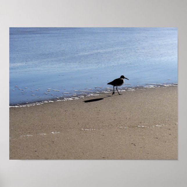 Seabird am Strand Poster (Vorne)