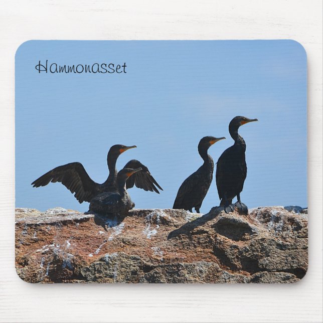 Seabird Mousepad (Vorne)