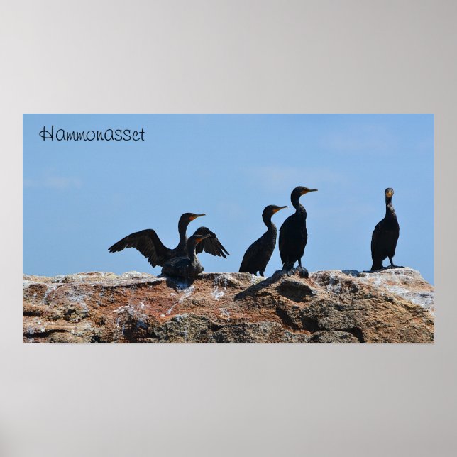 Seabird Poster (Vorne)