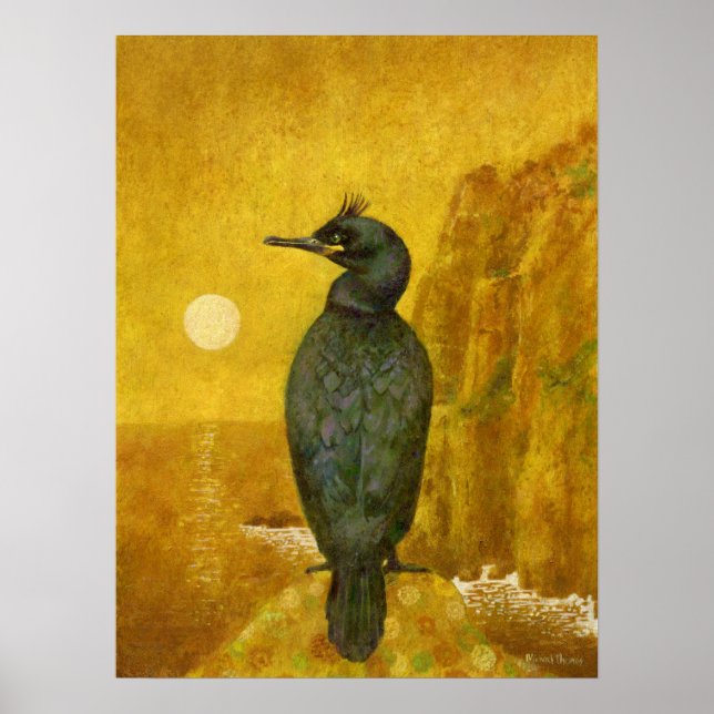 Seabird und Seascape Poster Print (Vorne)