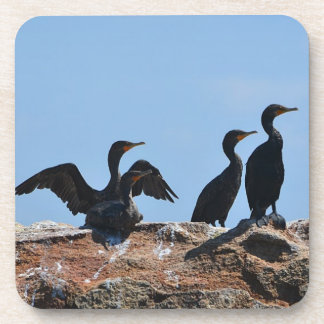 Seabird-Untersetzer Untersetzer