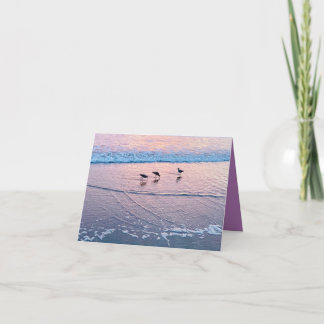 Seabirds at Twilight Karte