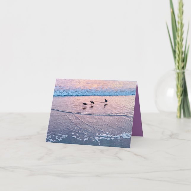 Seabirds at Twilight Karte (Vorderseite)