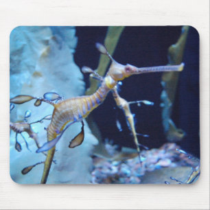 SeaDragon Mousepad