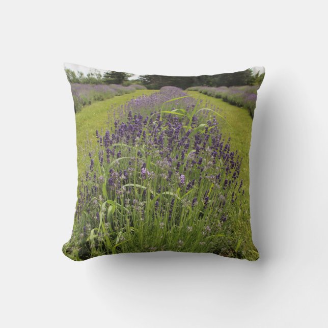 Seafoam Lavender Farm Kissen (Vorderseite)