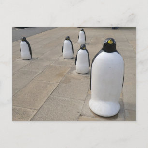 Seafront Penguins Postkarte