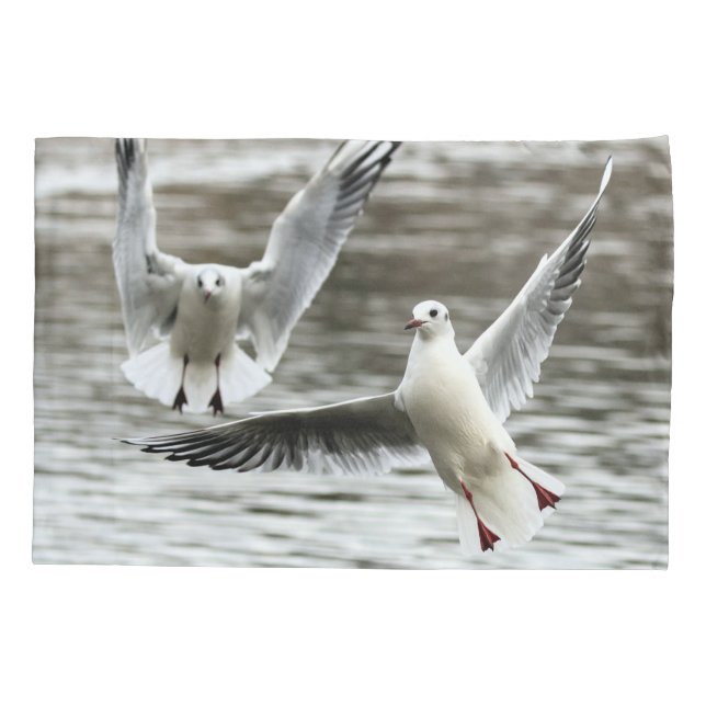 Seageln im Flug Kissenbezug (Rückseite)