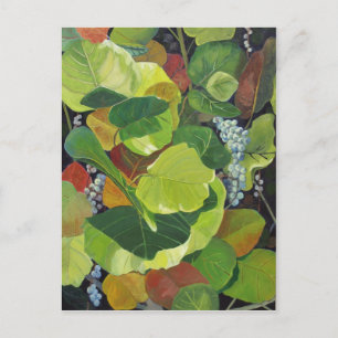 Seagrape Postkarte