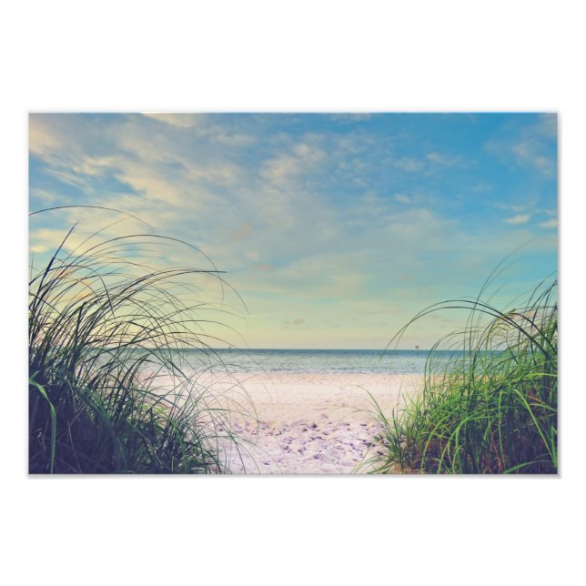 Seagrass On The Beach Print Fotodruck (Vorne)