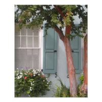 Seagreener Fensterläden