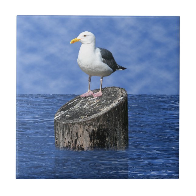 SEAGUL FLIESE (Vorderseite)