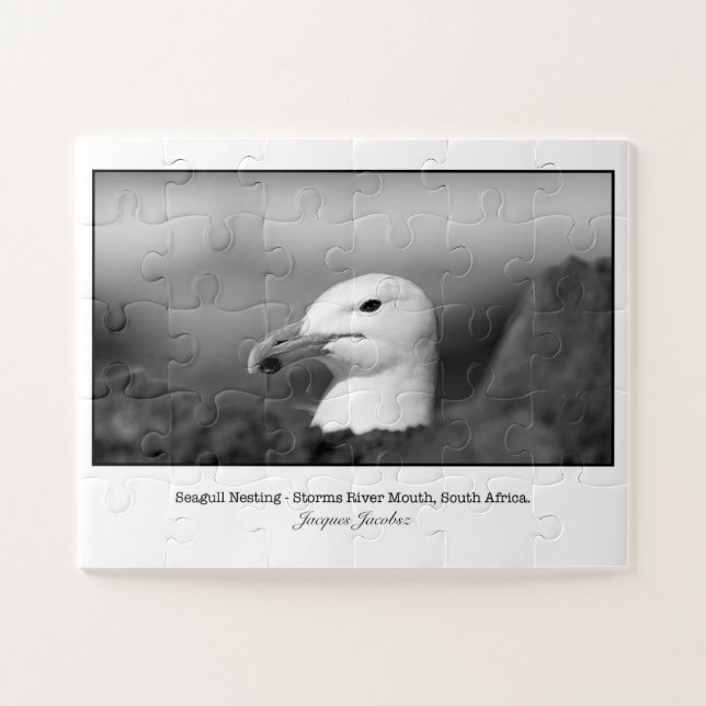 Seagul Nisting Puzzle (Horizontal)