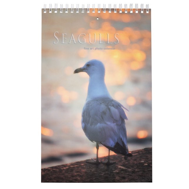 Seagulas und Beach Bird Landschaftskalender Foto Kalender (Titelbild)
