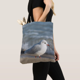 Seagull