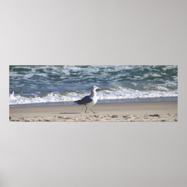 Seagull am Beach Poster (Vorne)