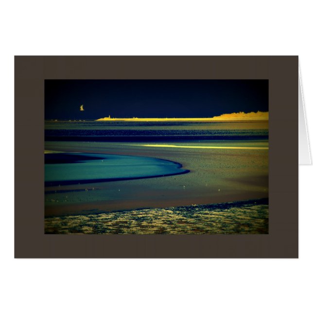 Seagull am Meer (Vorderseite (Horizontal))