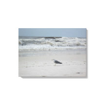 Seagull am Meer auf der Leinwand