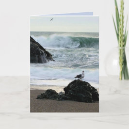 Seagull am Meer Karte