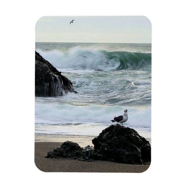 Seagull am Meer Magnet (Vertikal)