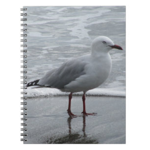 Seagull am Meer Notizblock