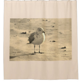 Seagull am Strand Duschvorhang