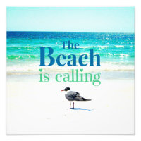 Seagull am Strand