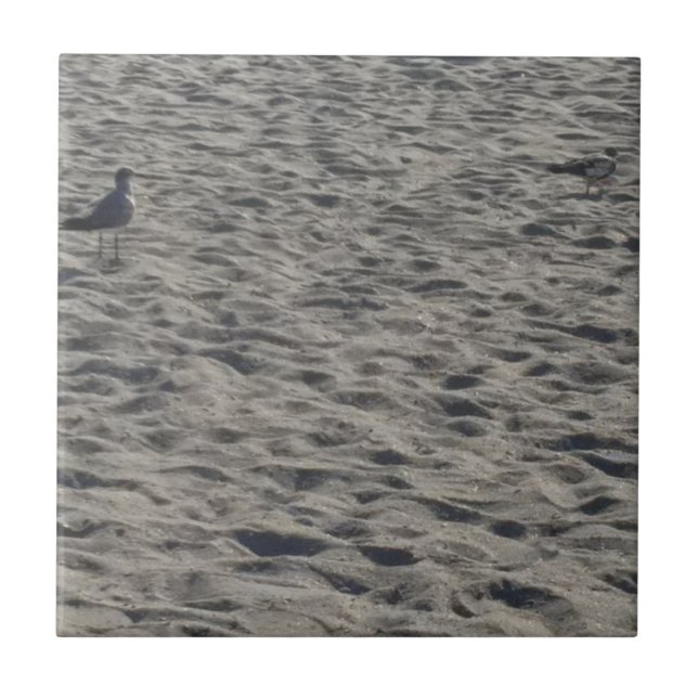 Seagull am Strand von Kakao Fliese (Vorderseite)