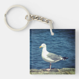 Seagull an der Bucht Schlüsselanhänger