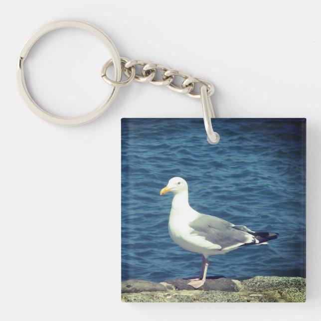 Seagull an der Bucht Schlüsselanhänger (Vorderseite)