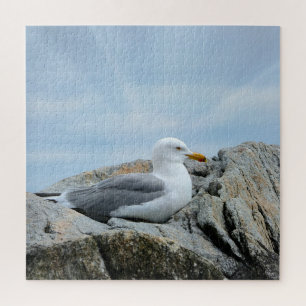 Seagull an der Küste Puzzle